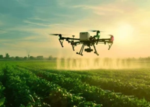 M.Sc. Agriculture